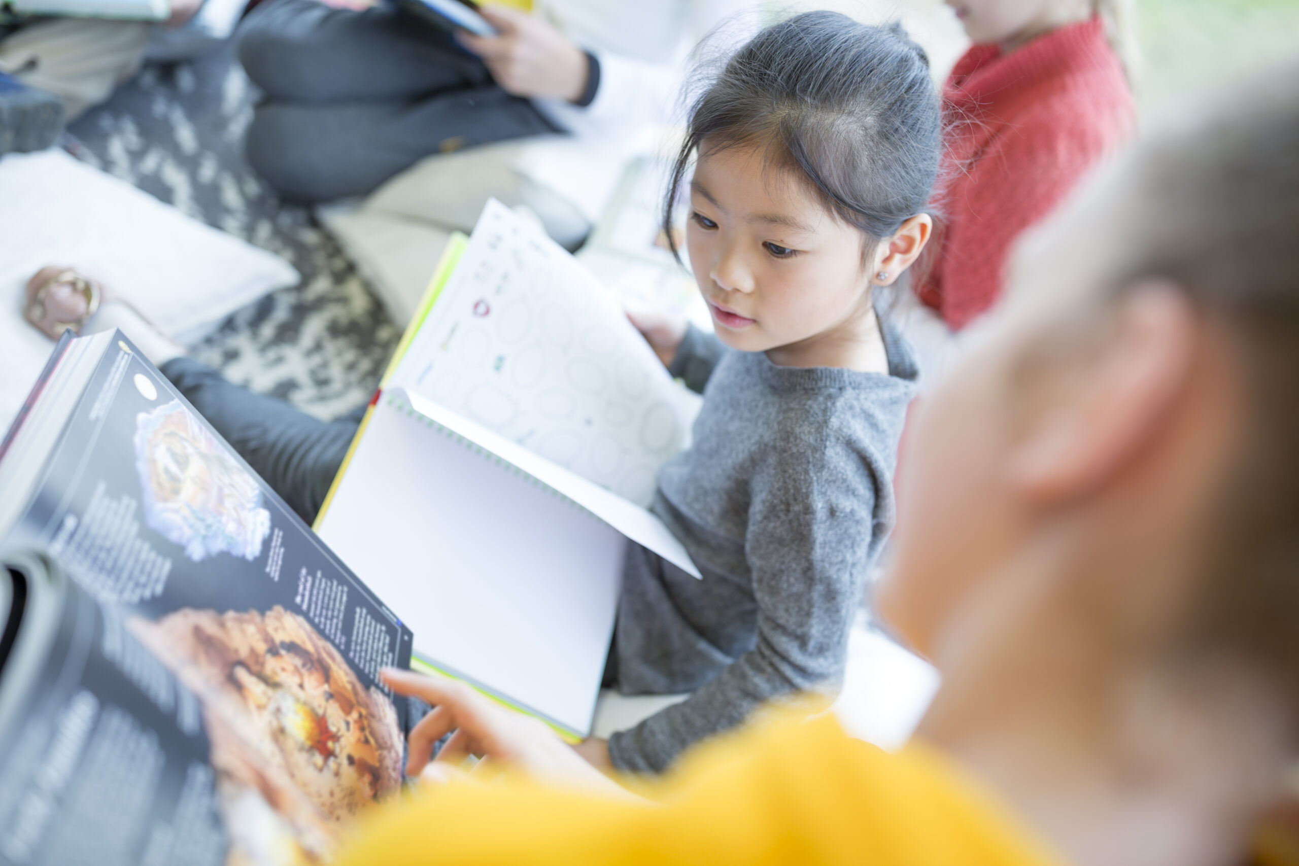 Dyslexia Resources for High School & College Students