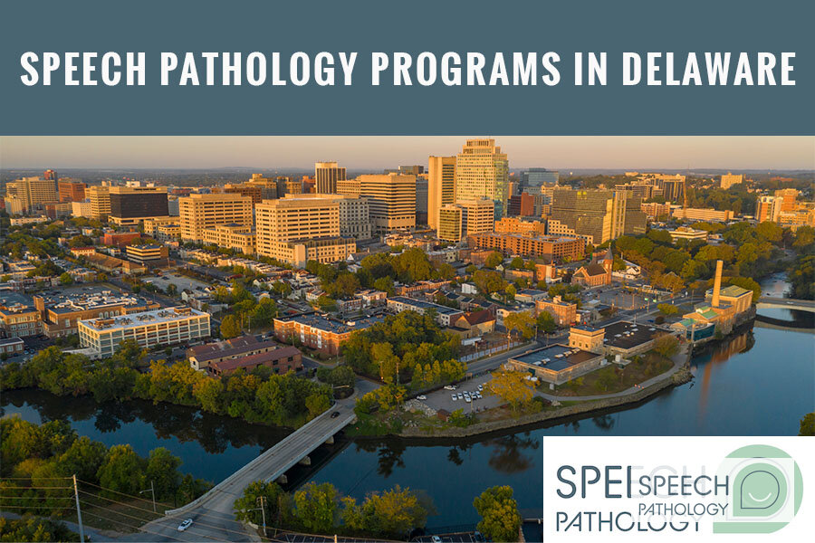 SLP Programs & Licensure in Delaware: Your Full Guide
